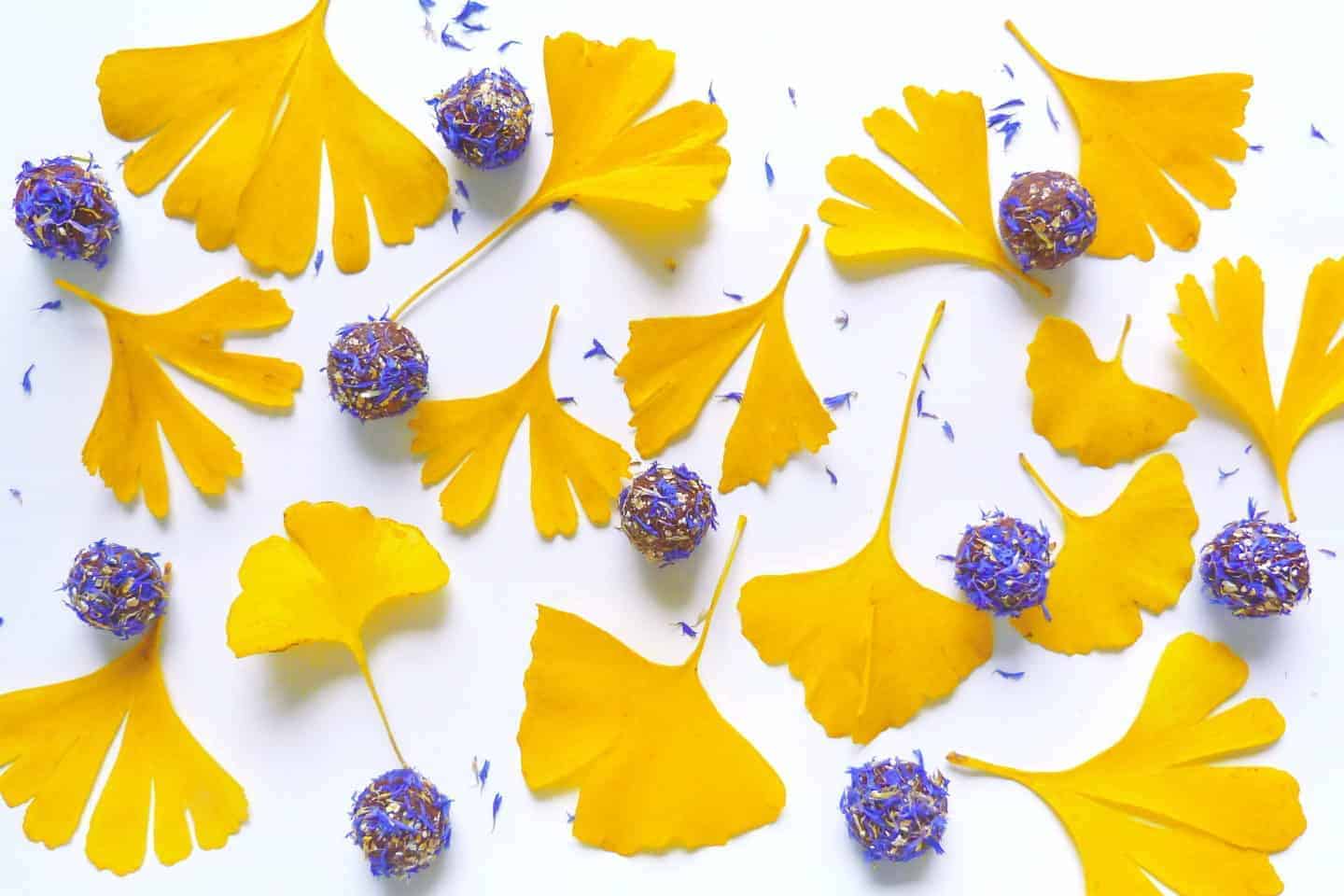 veganske kroglice extraveganza recept